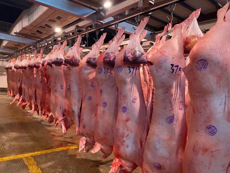 猪肉批发市场的景与变：把握机遇的风向标
