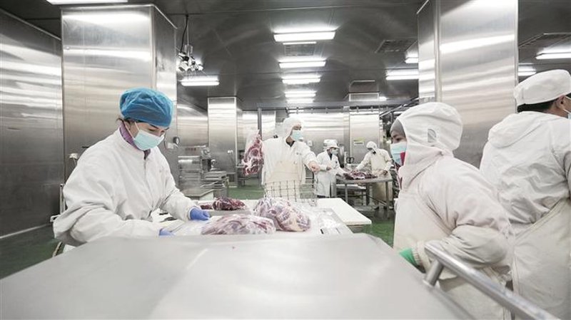 猪肉批发市场的景与变：把握机遇的风向标