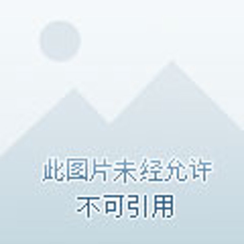 腊肉之王：走进南江腊肉的独特魅力与行业变迁